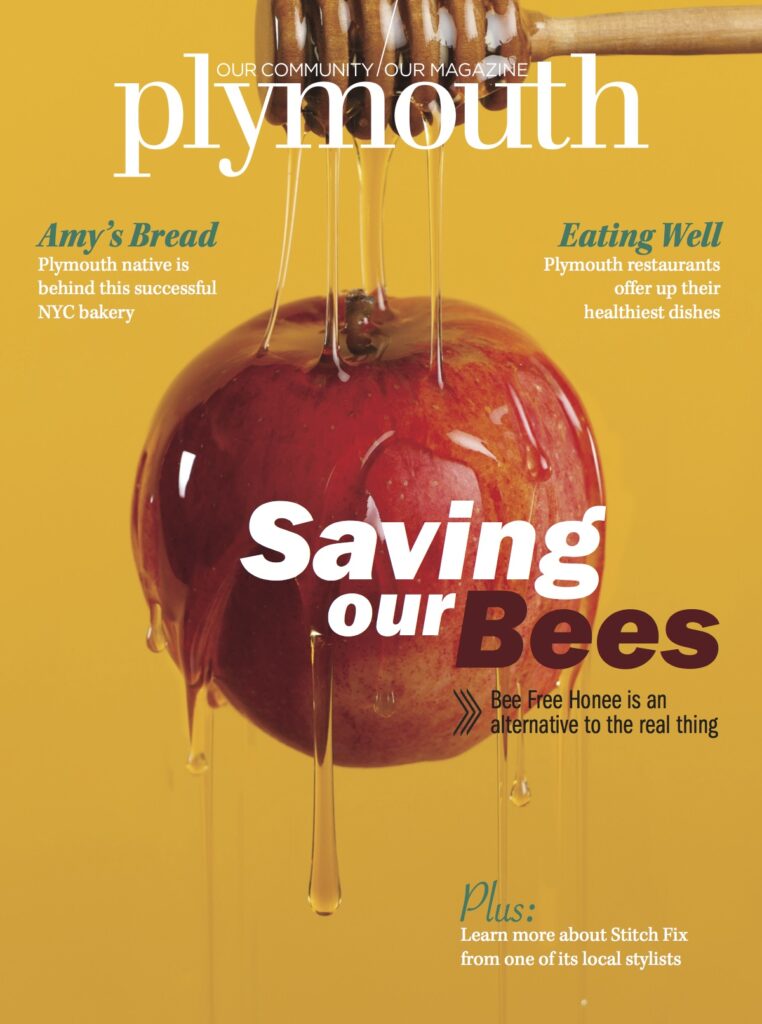 Plymouth Magazine_Cre8Play Article