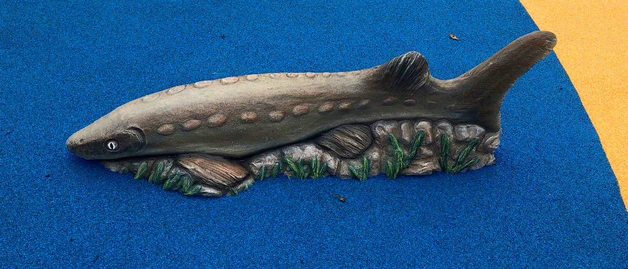 Sturgeon at sea themed playground