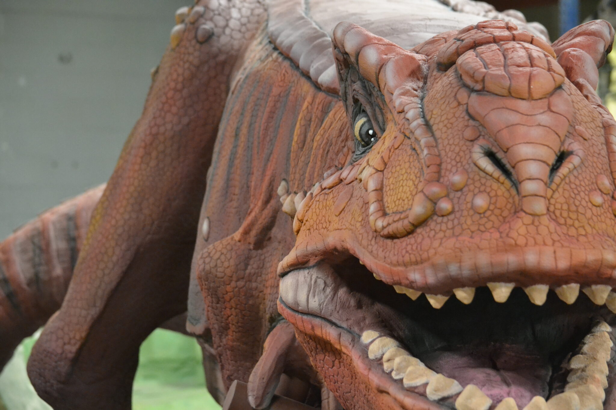 Dinosaur playground climber