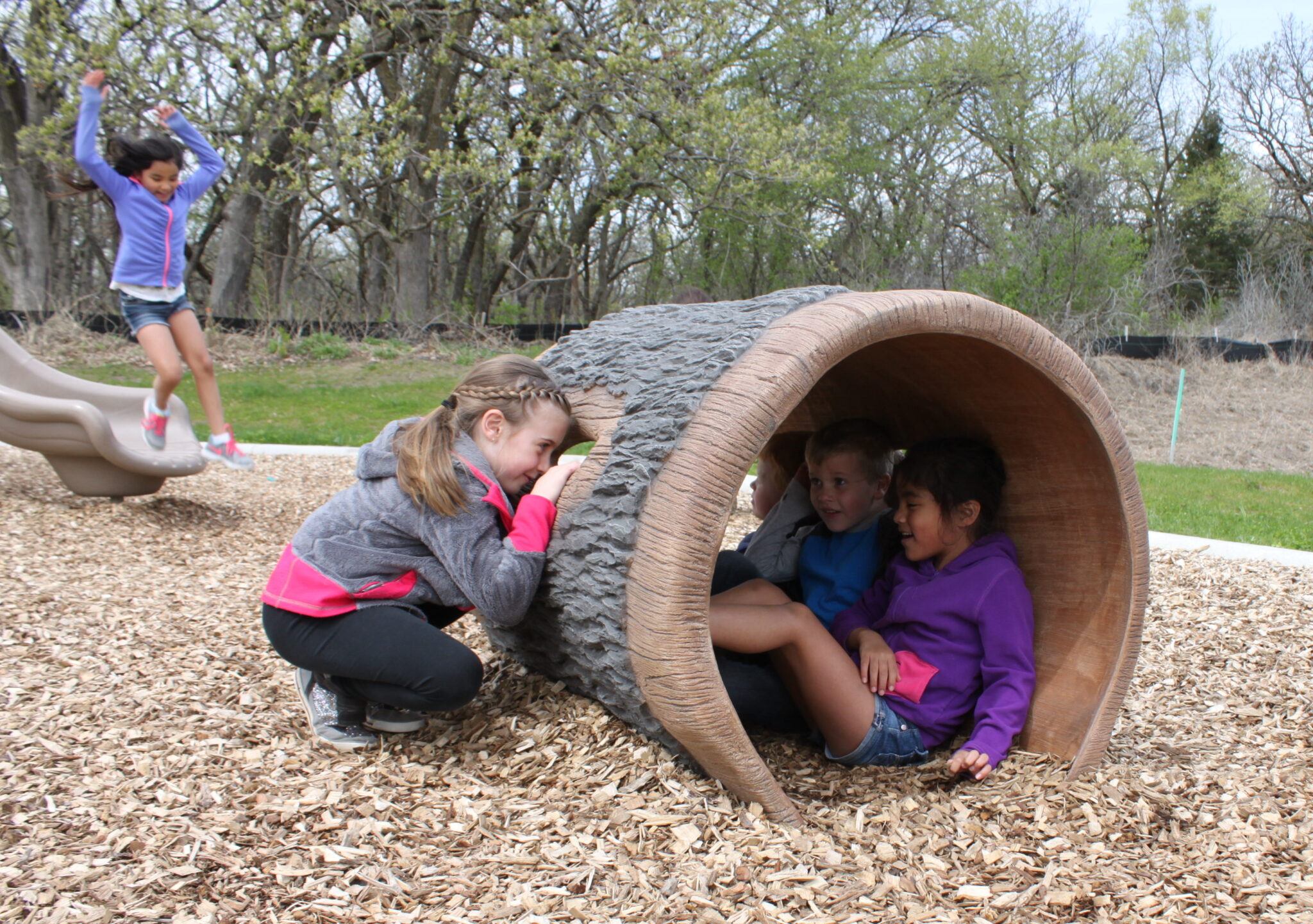 Anoka Park Playground