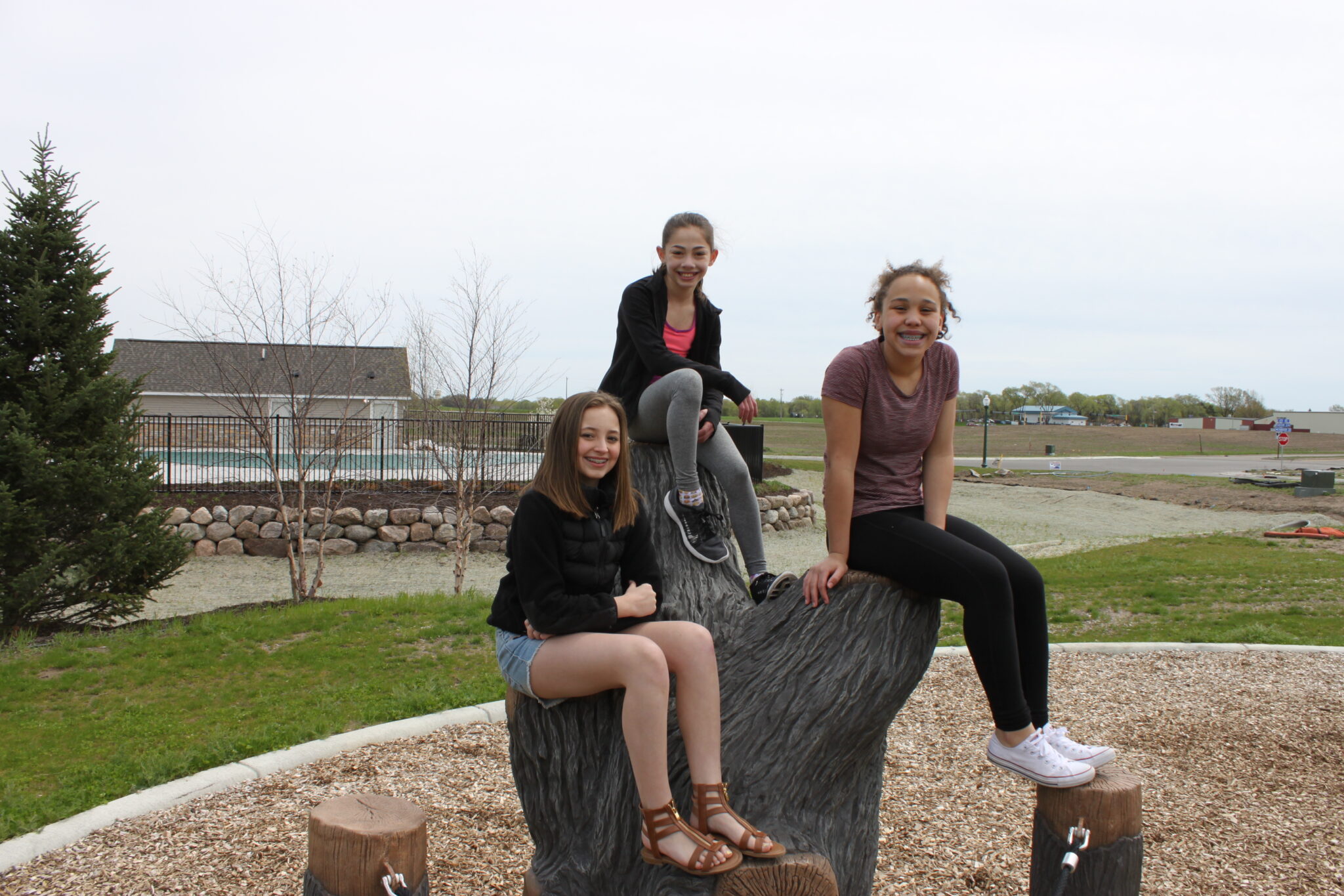 Anoka Park Playground