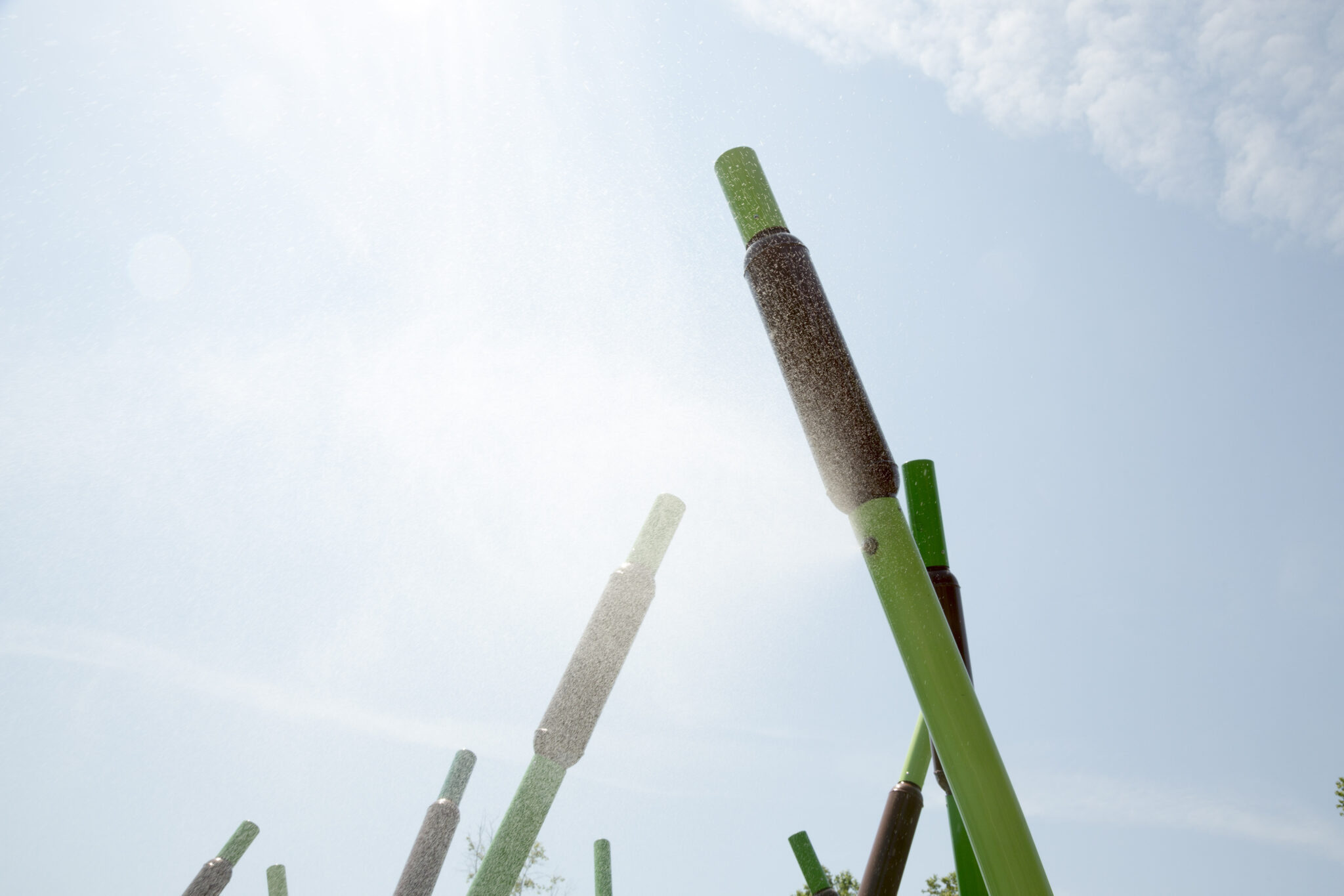 Walker Mill Regional Park Playground