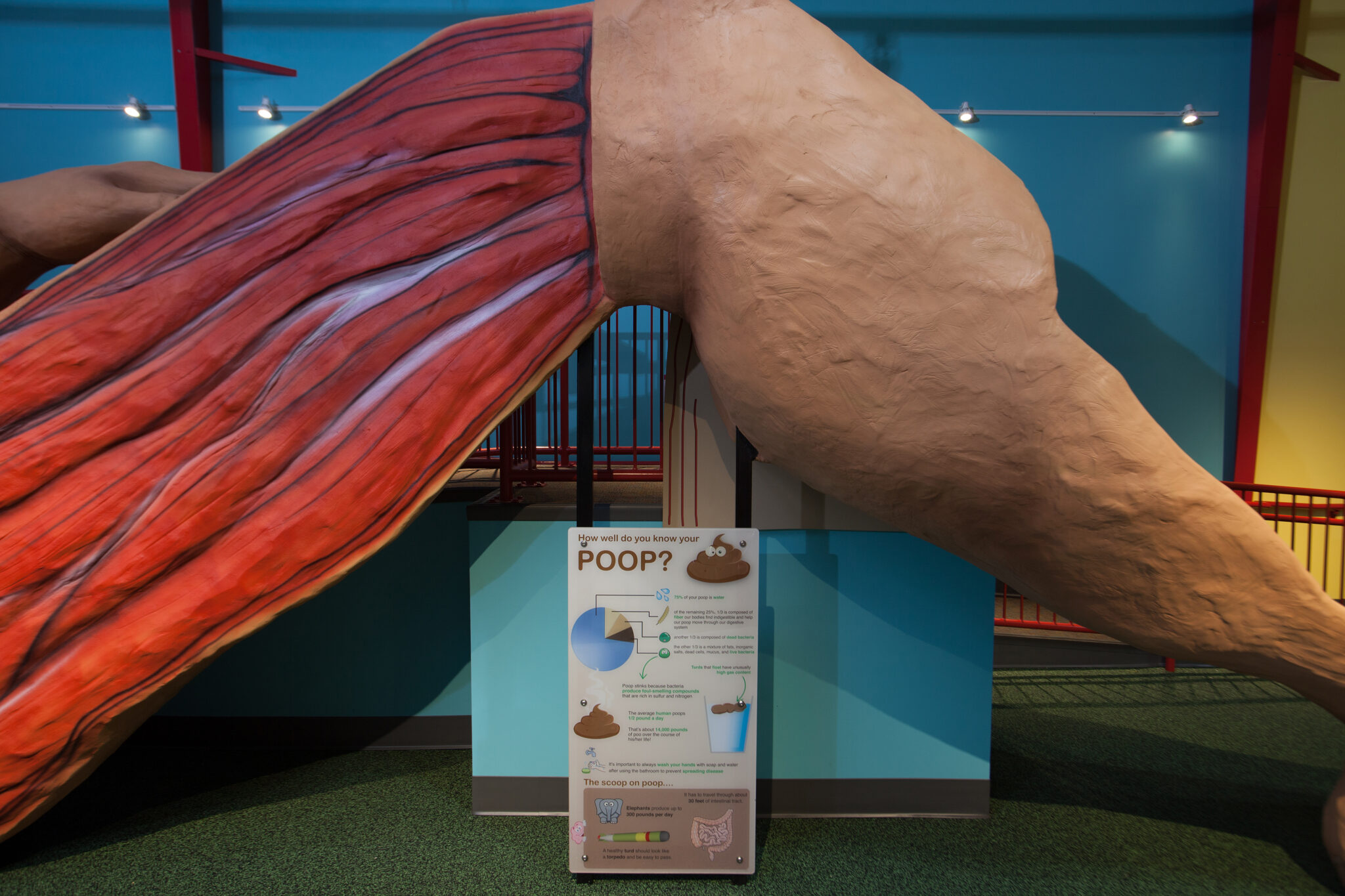 Healthworks Kids Museum