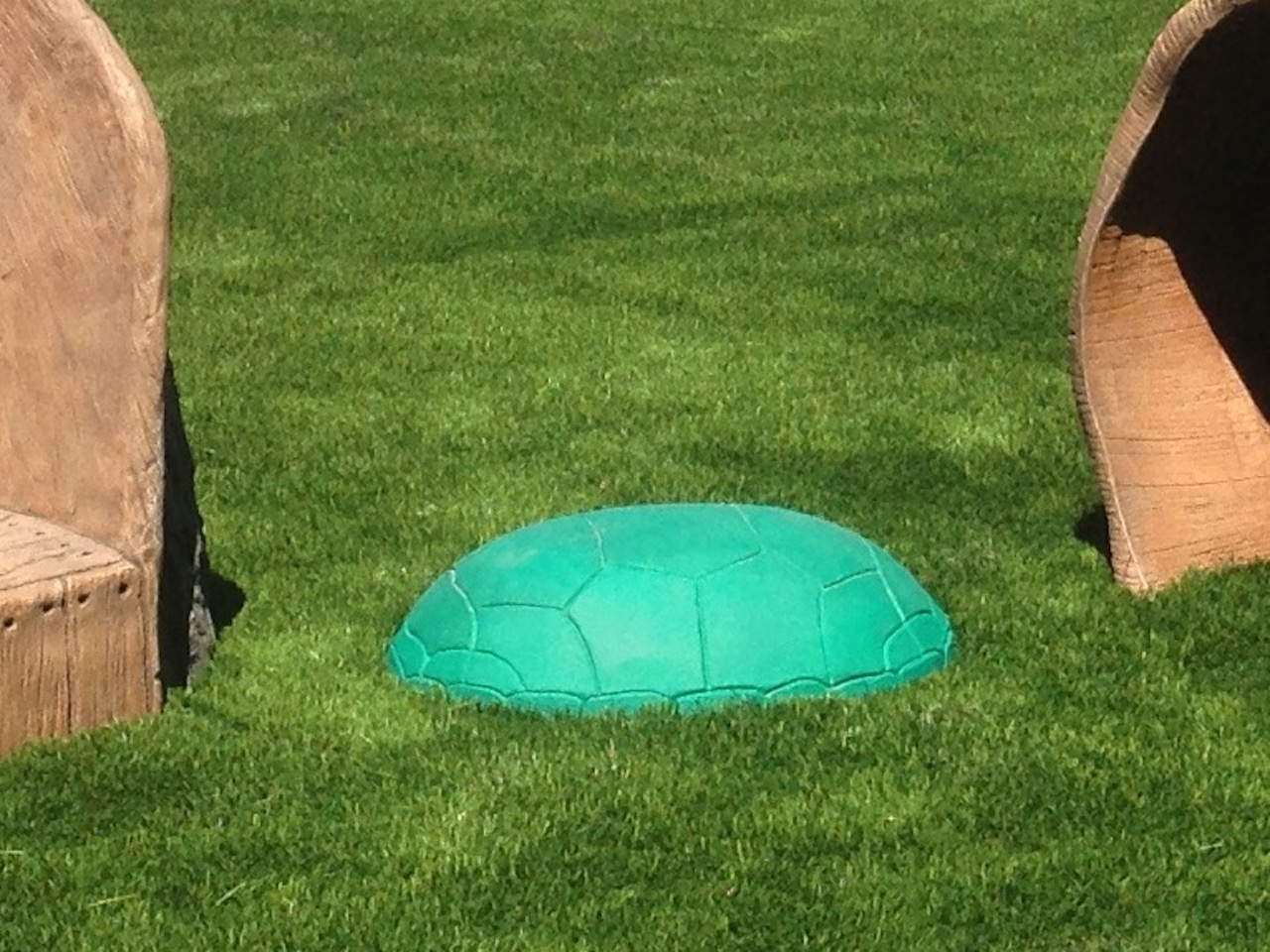 Playground turtle