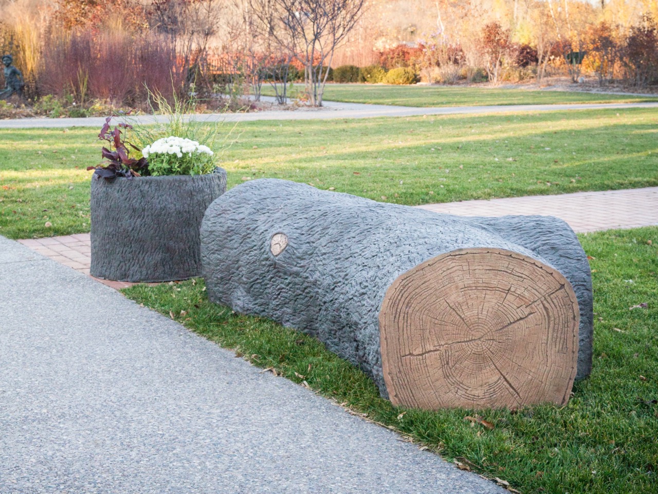 Fallen tree bench