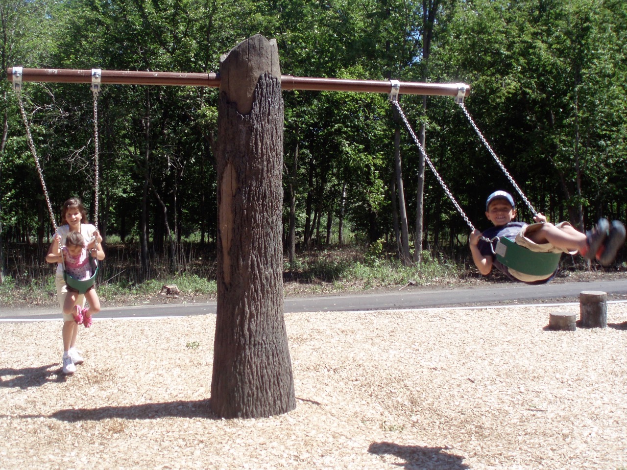 Tree trunk swing