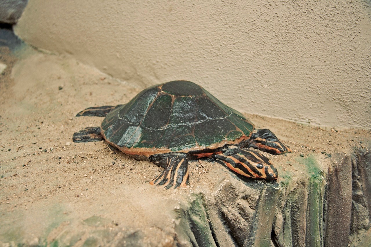 Queenie Goose Slide, Regina Saskatchewan